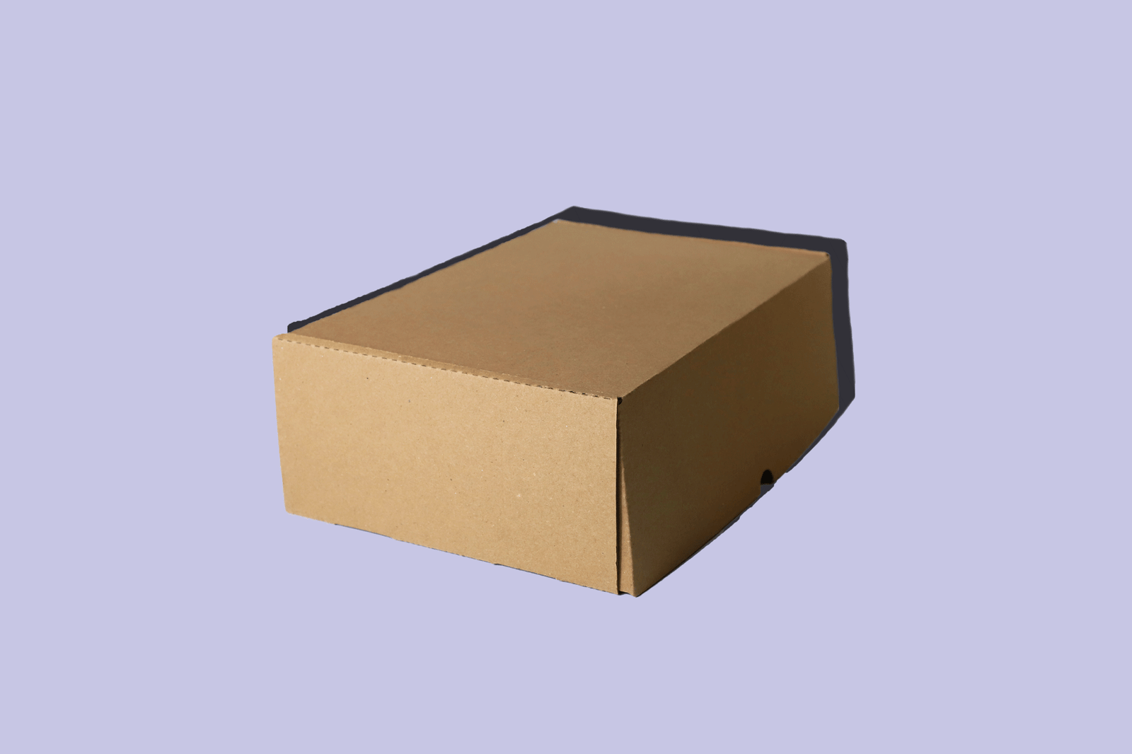 Caja mediana - kraft (30 x 20 x 10 cm)